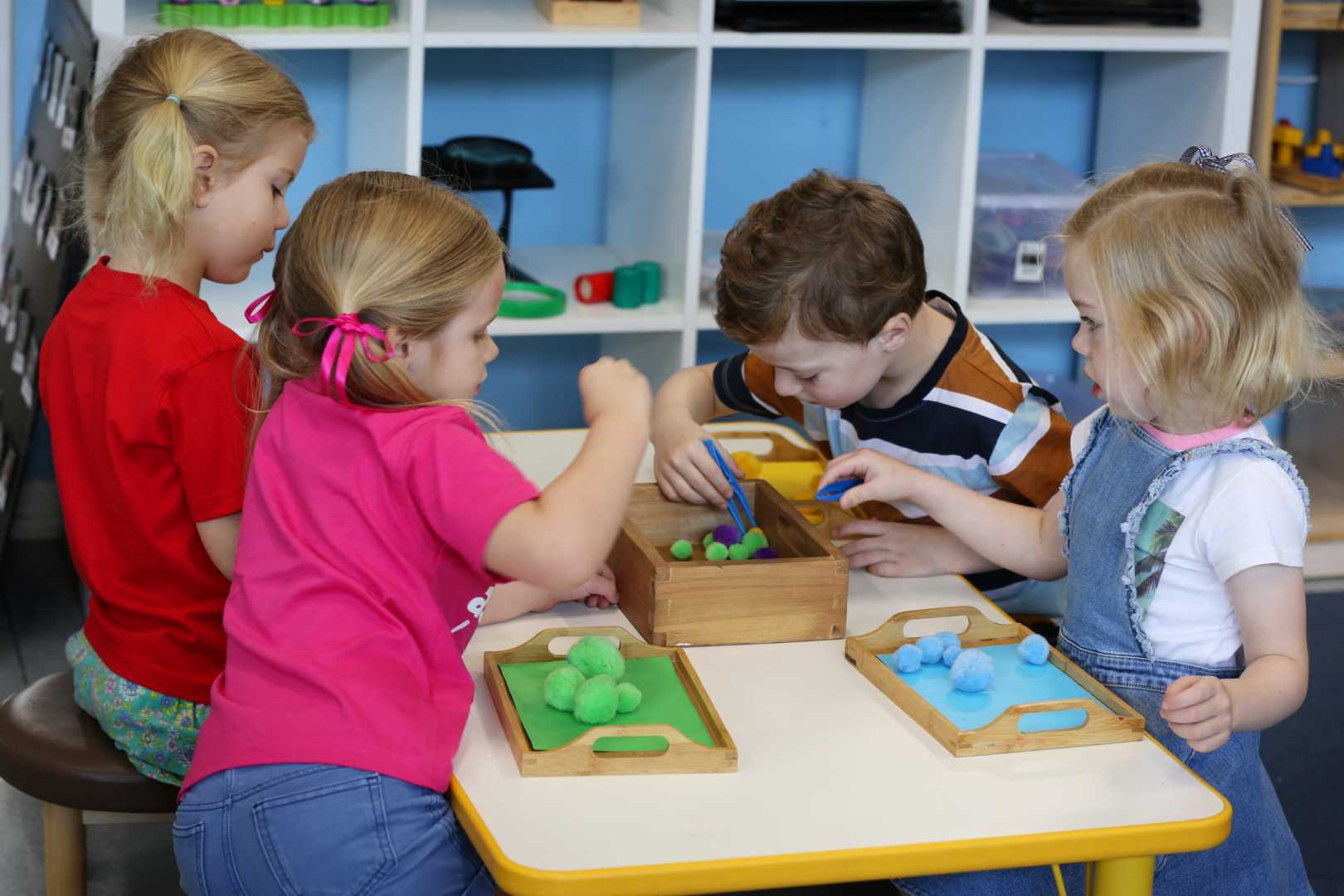 Ashgrove West Kindy Children Playing Indoor