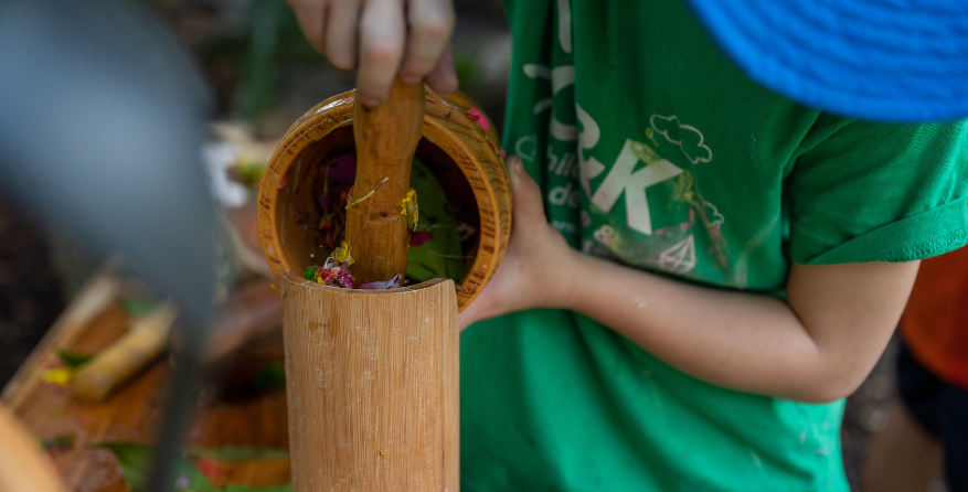 C&K Nature Play