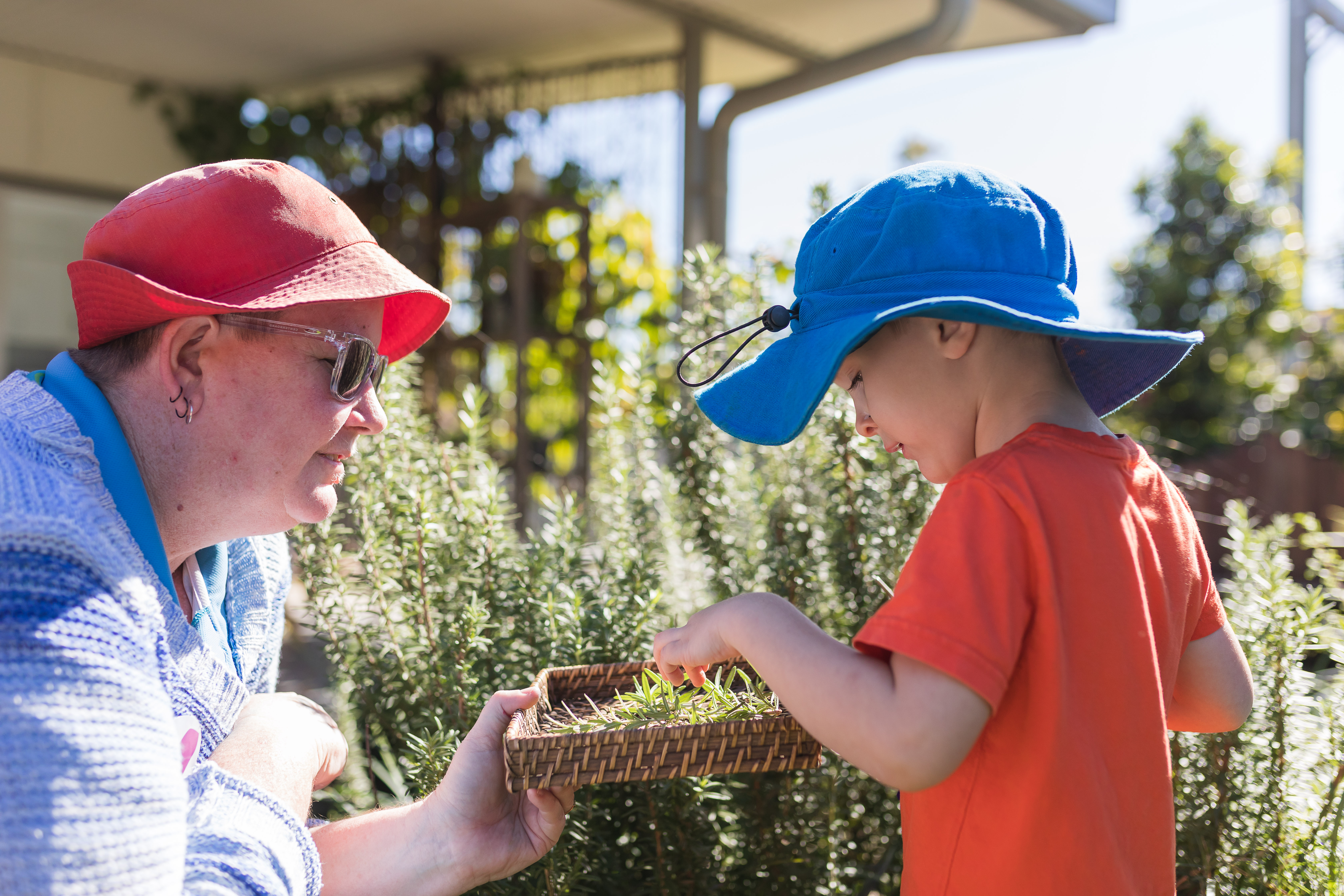 child and educator picking rosemary