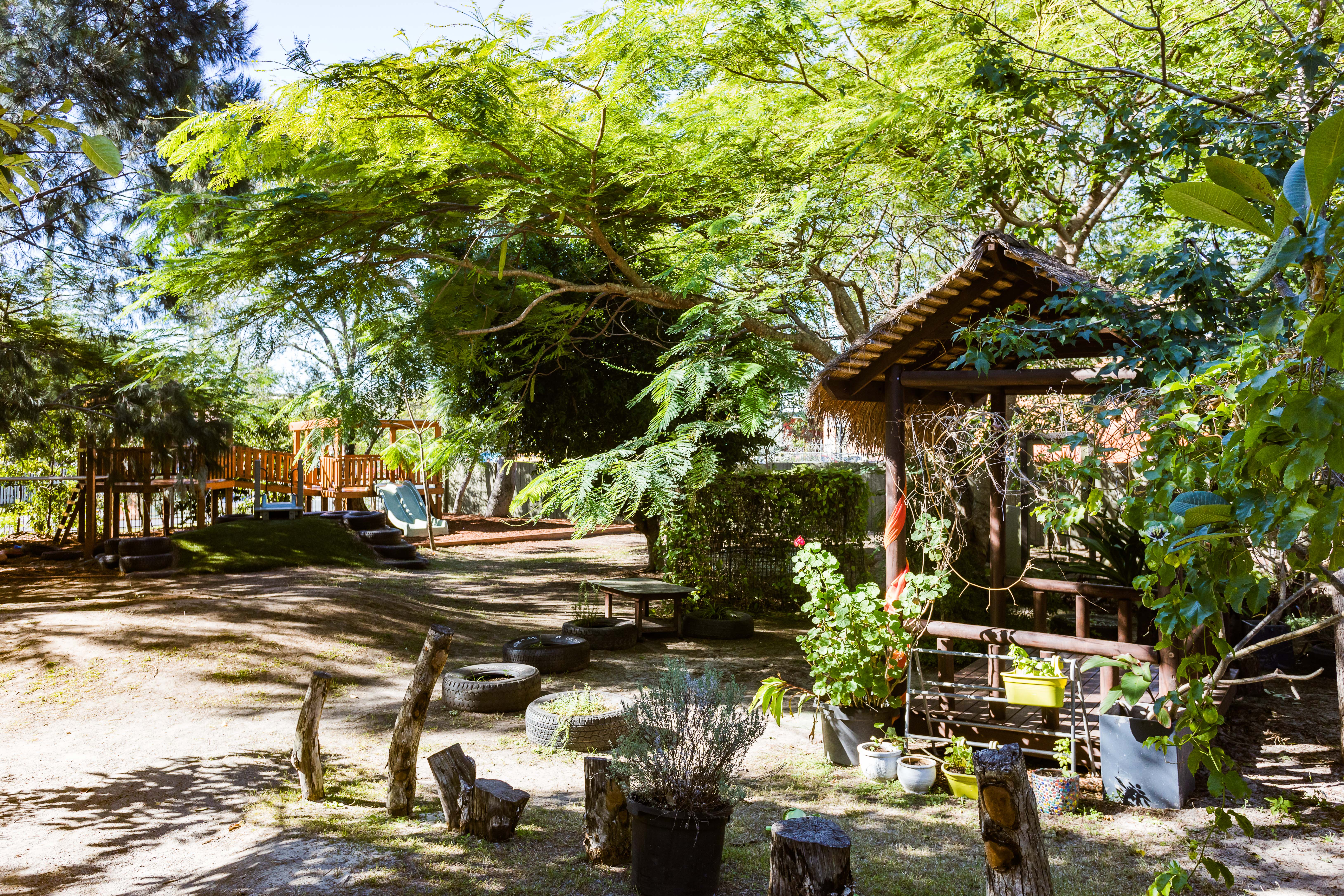 large outdoor area playground and trees