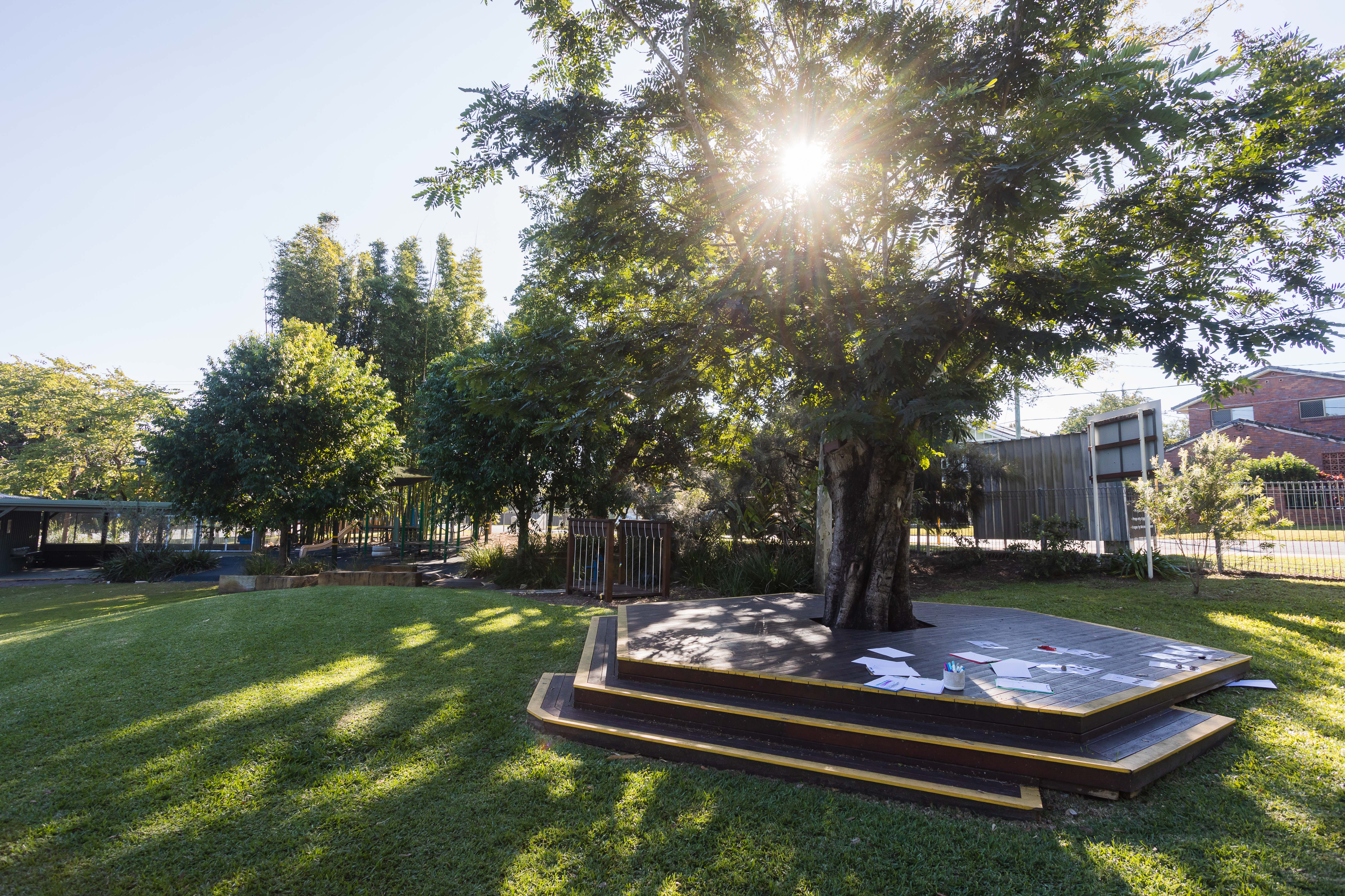 large open grass area and big tree with deck