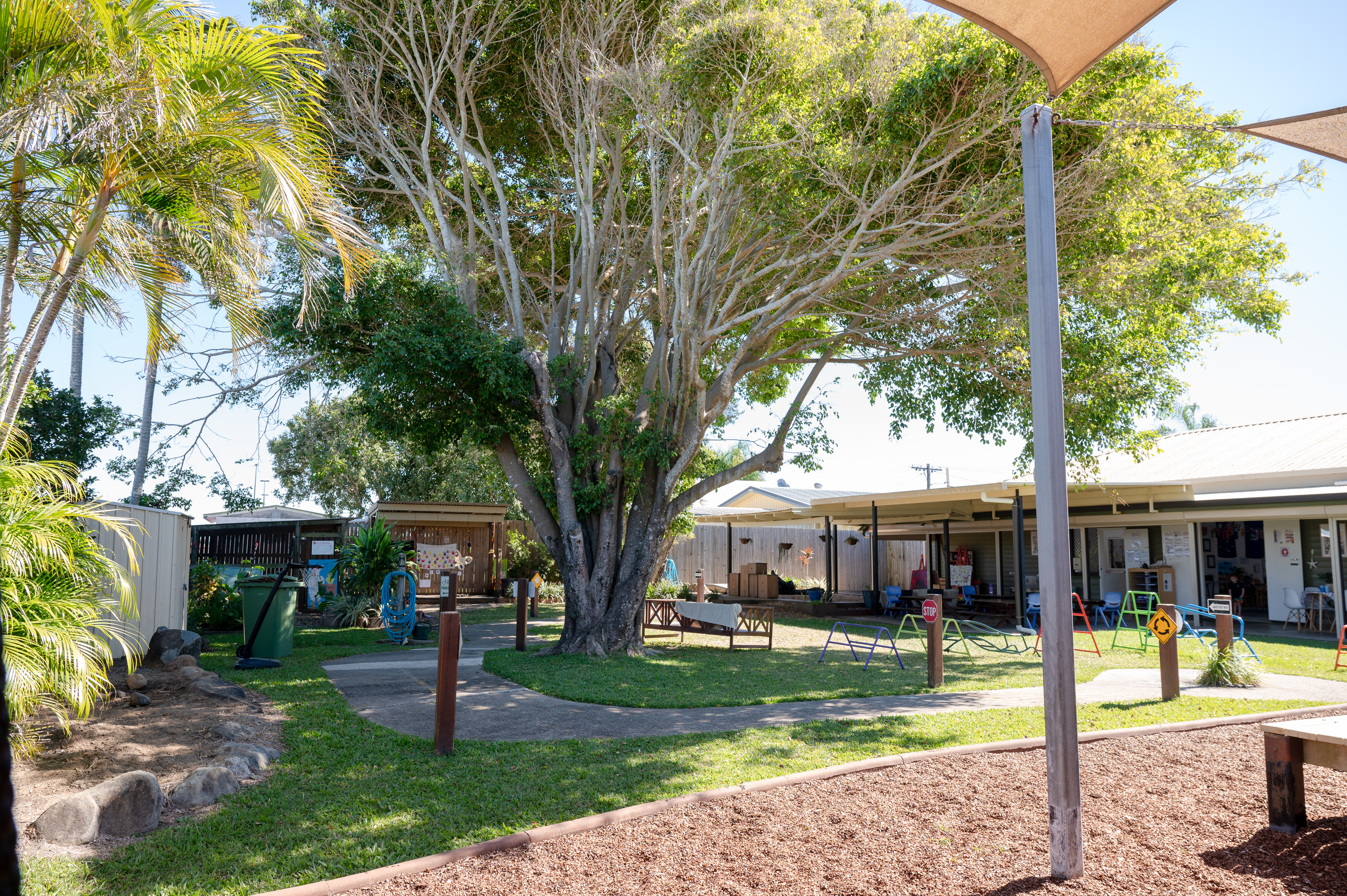 Outdoor area and big tree