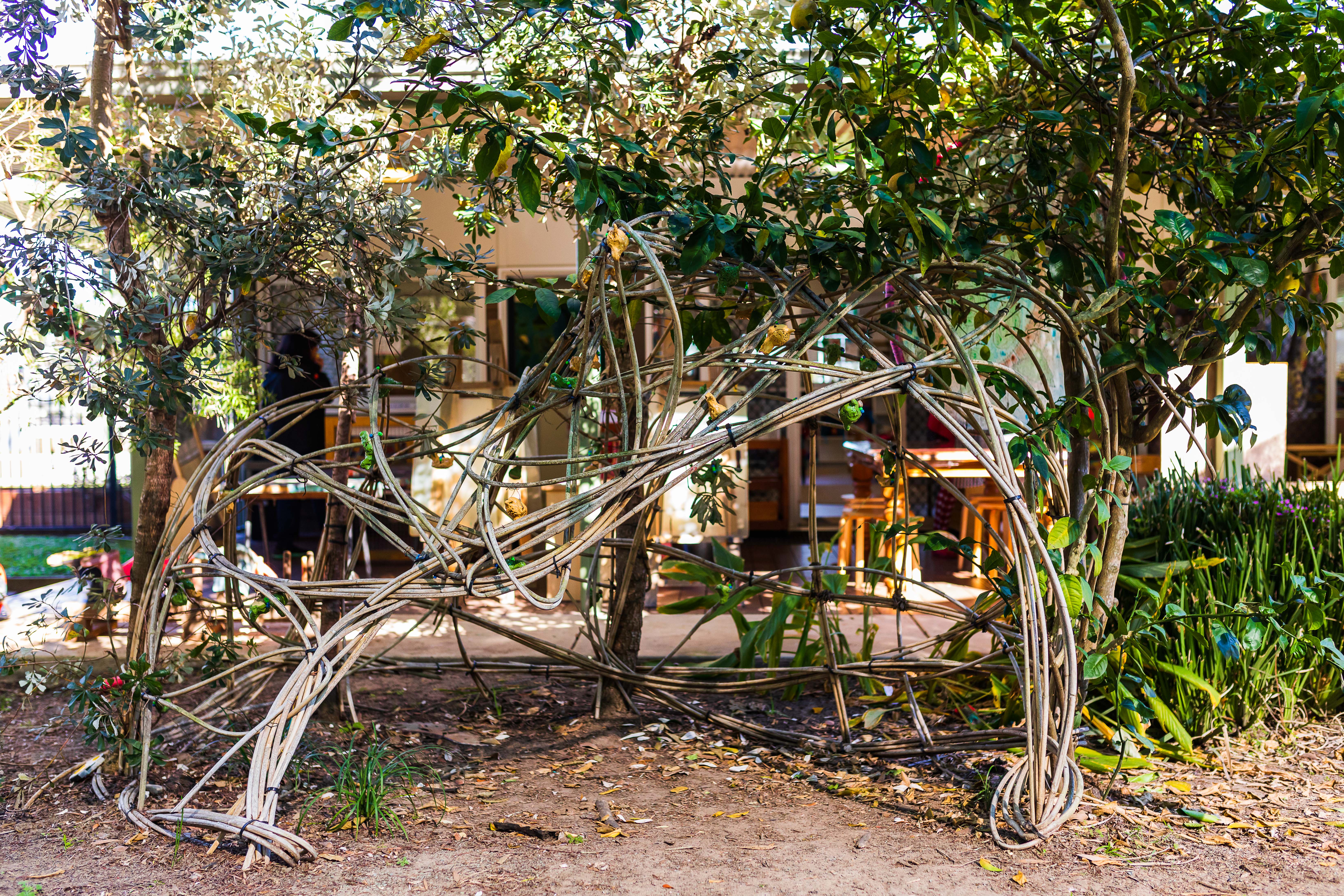 C&K Moorooka kindy outdoor space