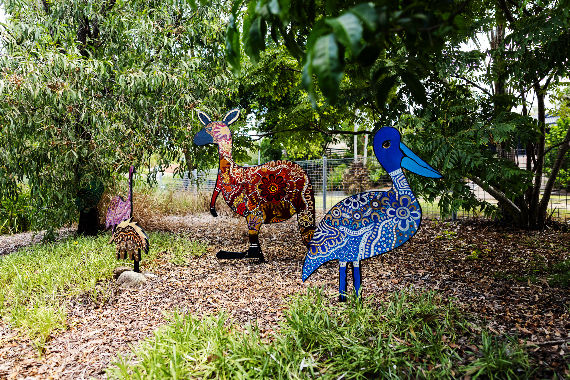 C&K Oxenford - first nations animals