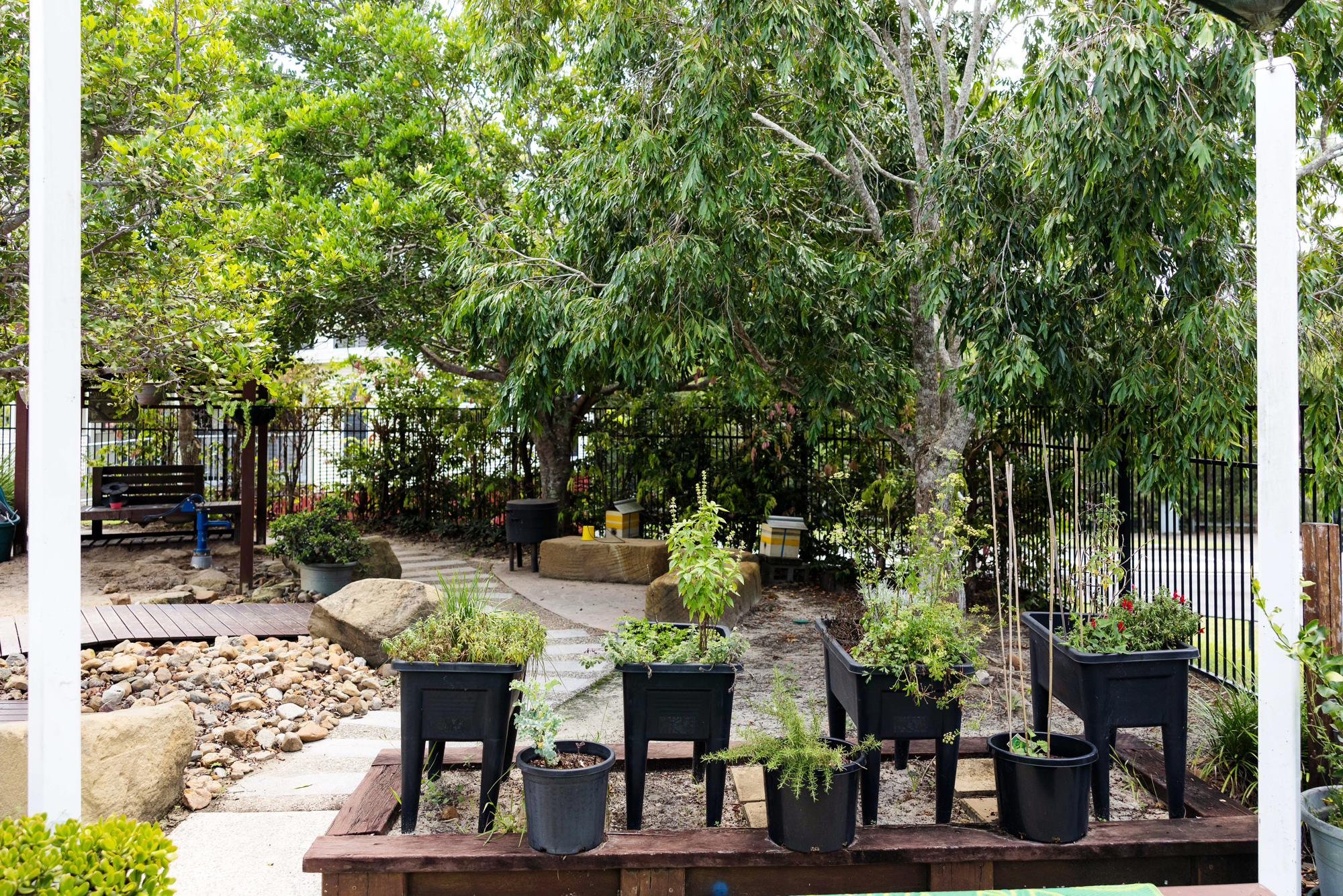 Park Lake kindy - outdoor space