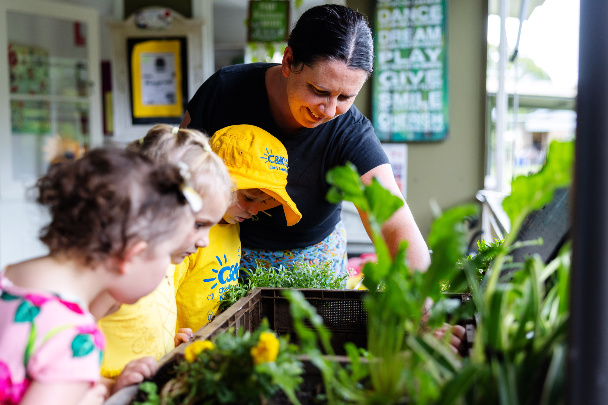 C&K Maleny - gardening