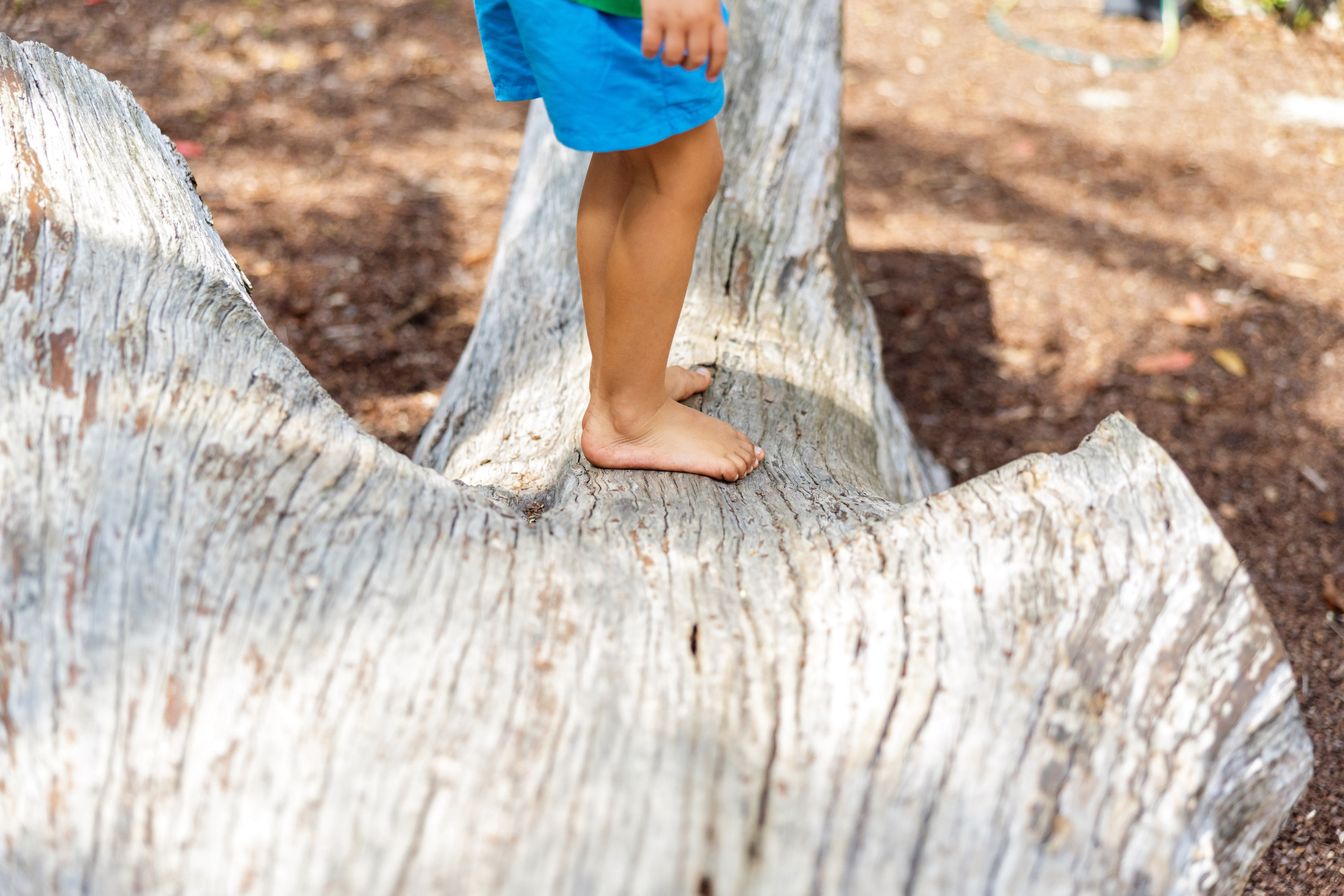 C&K Mooloolah - photo of a child's feet standing on a large log