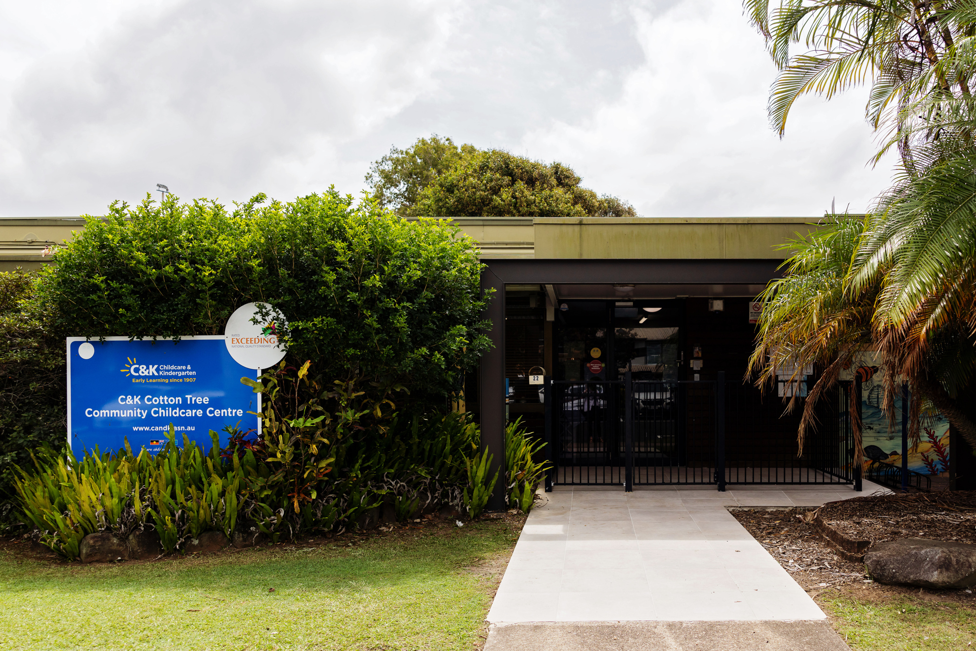 C&K Cotton Tree - centre front