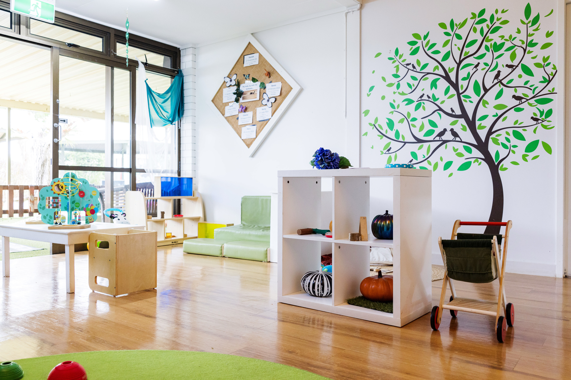 C&K Cotton Tree - indoor space