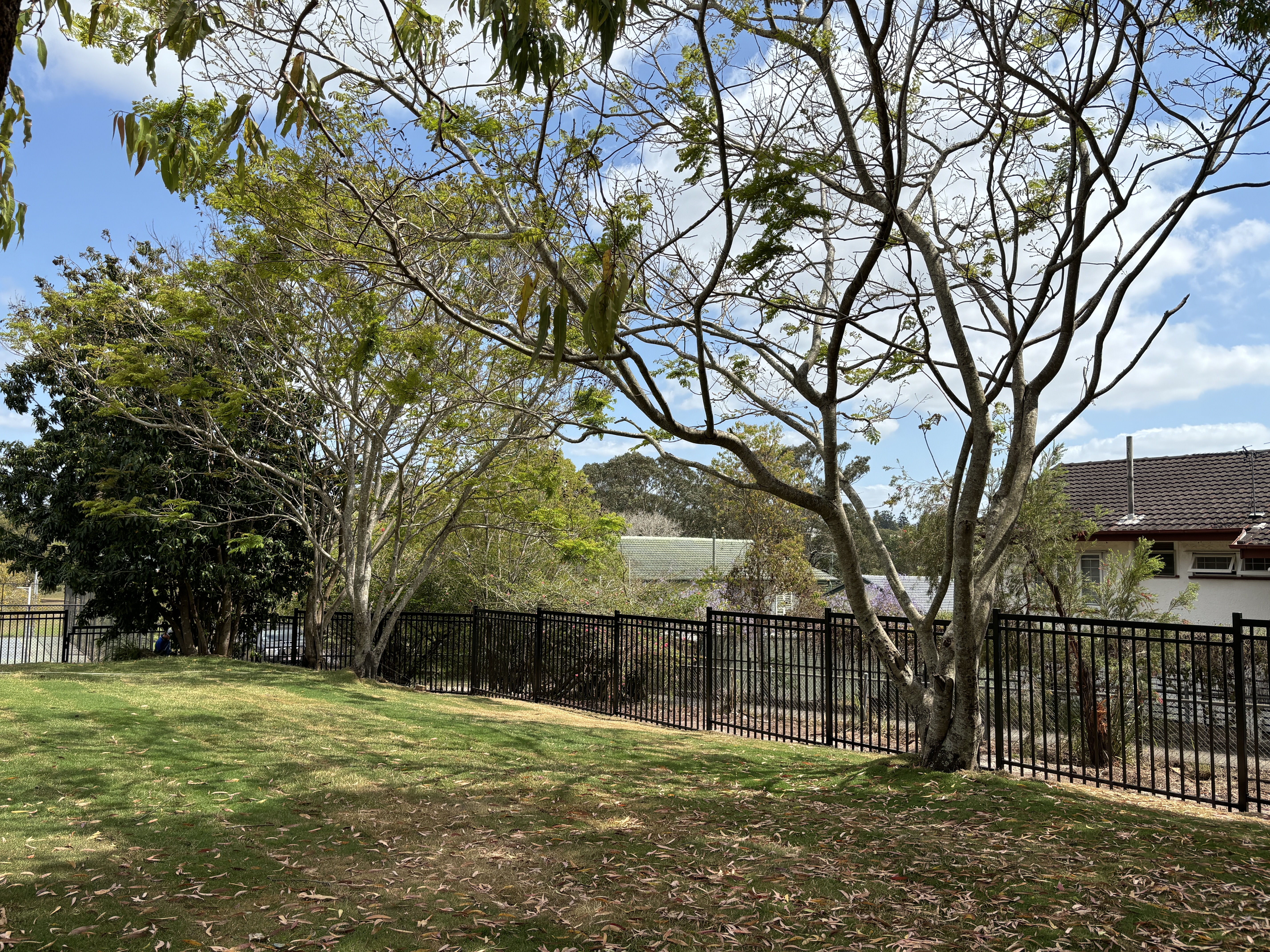 Large outdoor play area with established trees