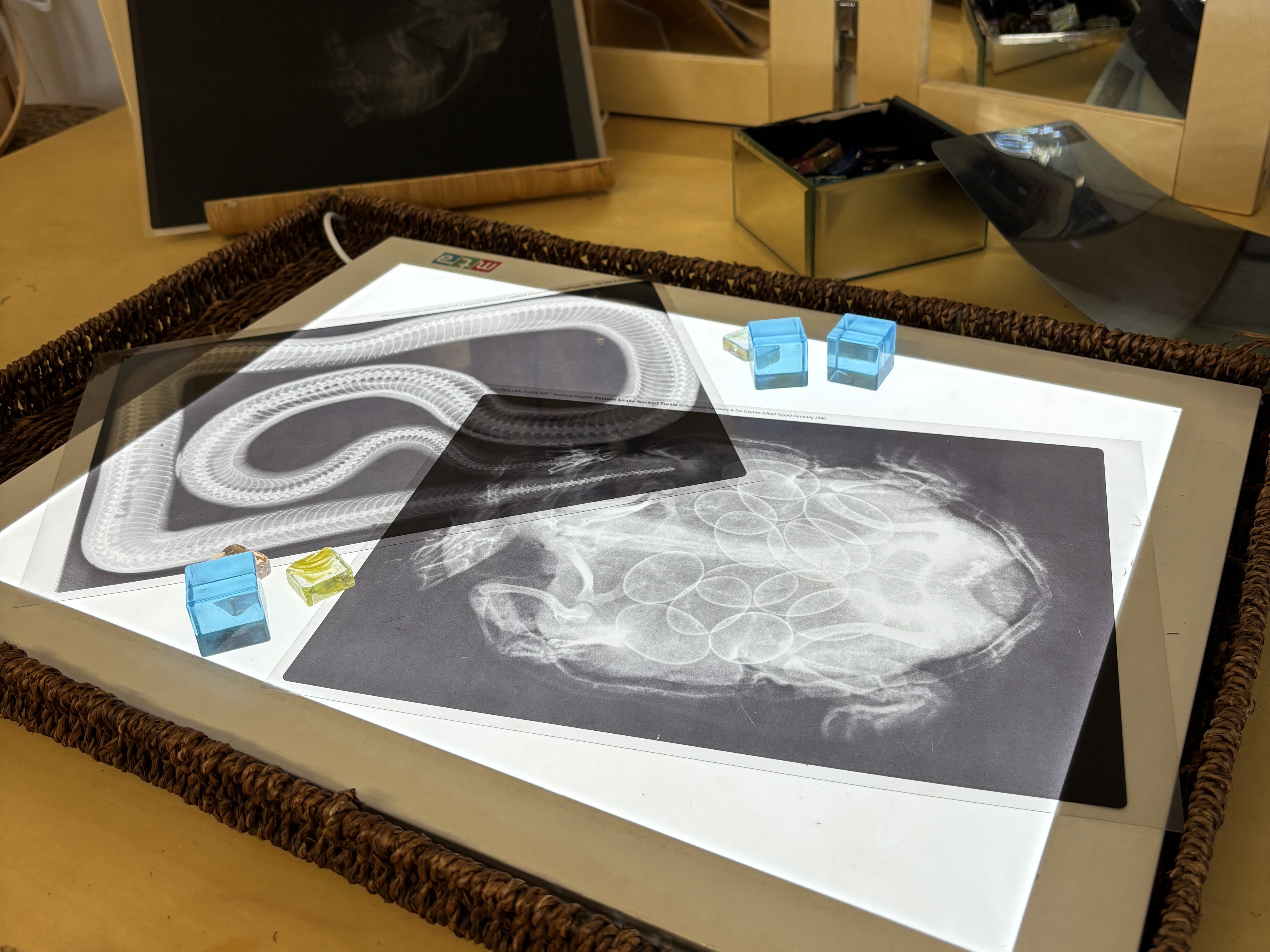 C&K Anne Shearer - science resources