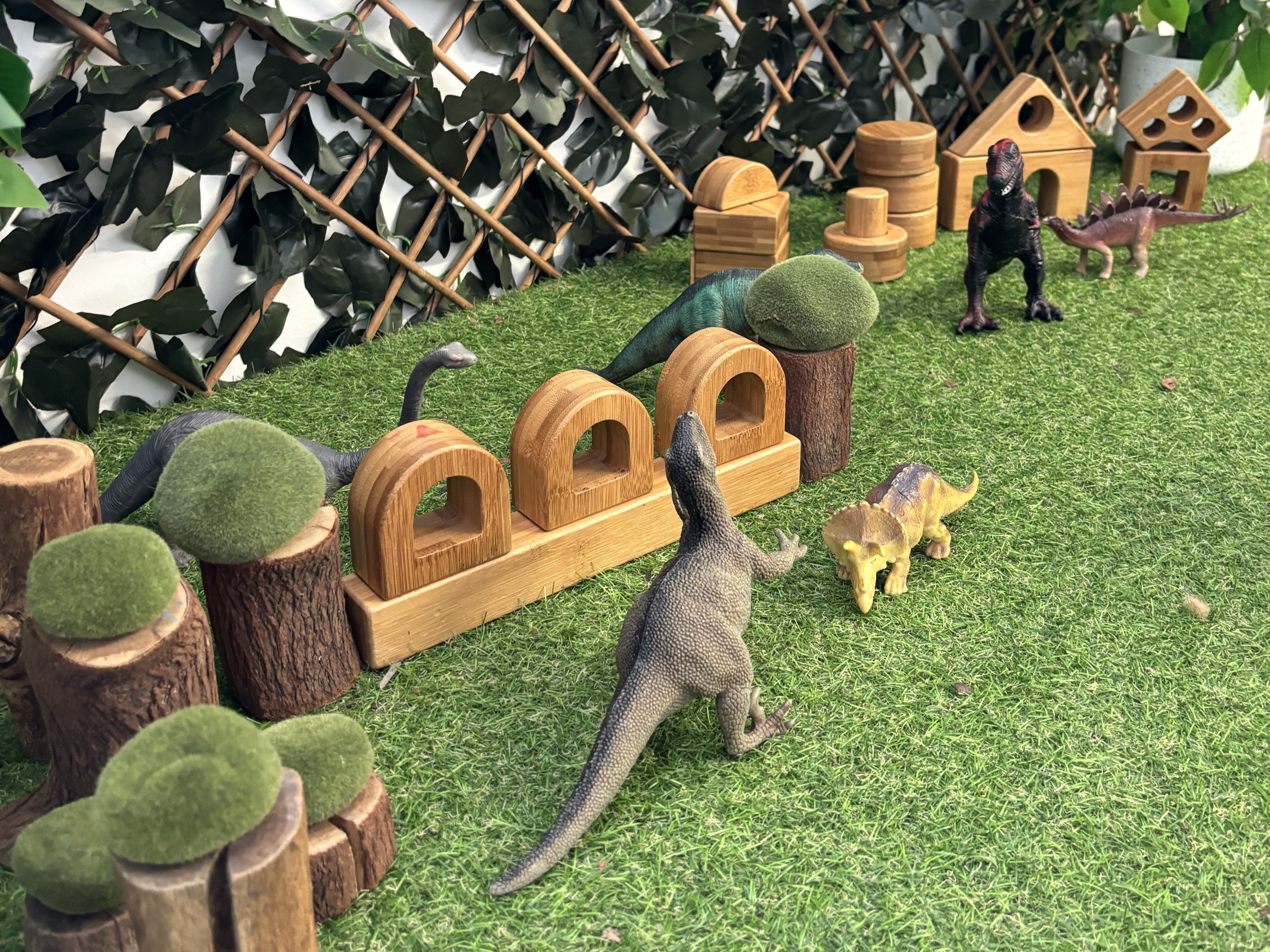 C&K Anne Shearer - small world play