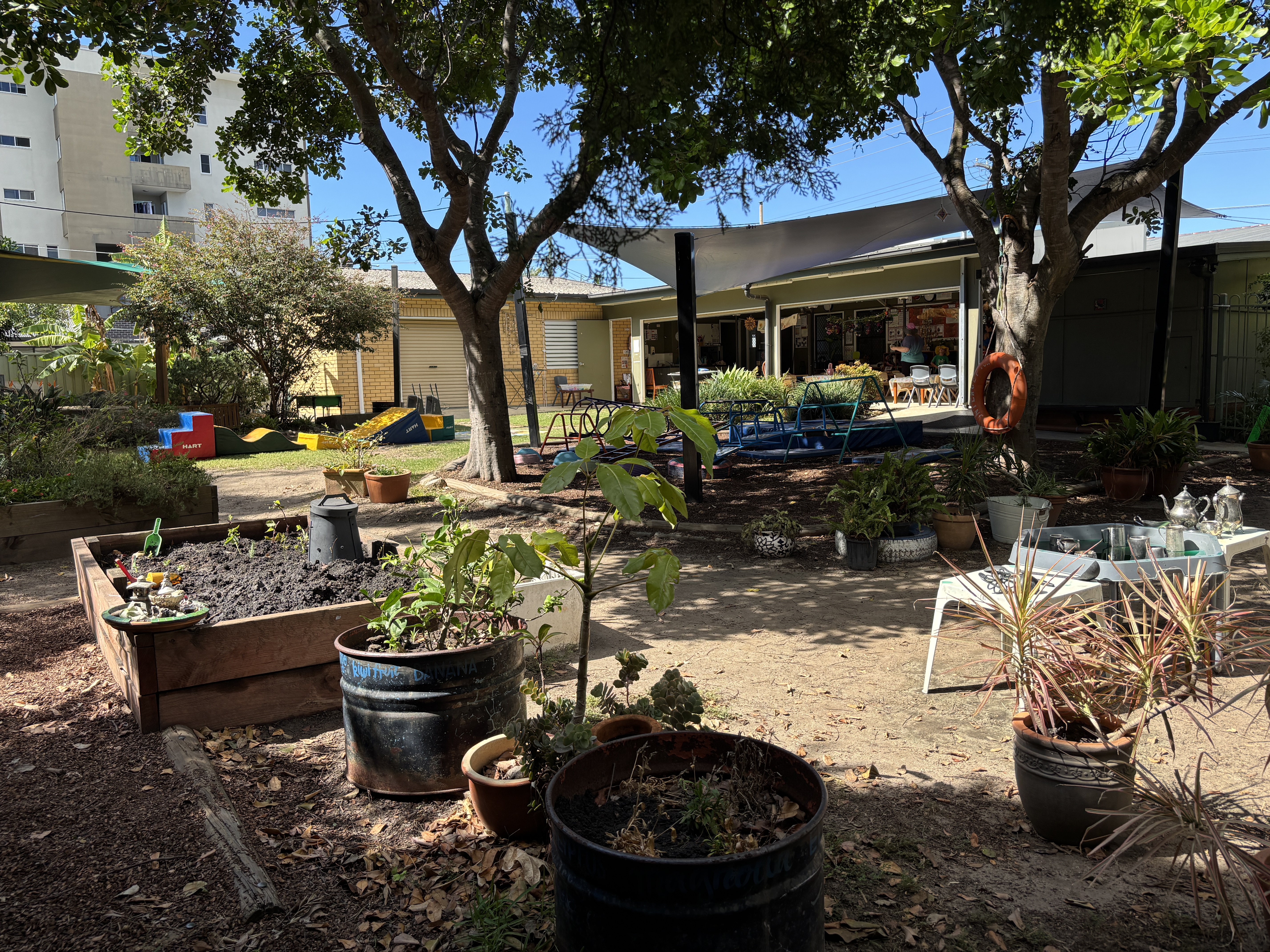 C&K Anne Shearer - yard