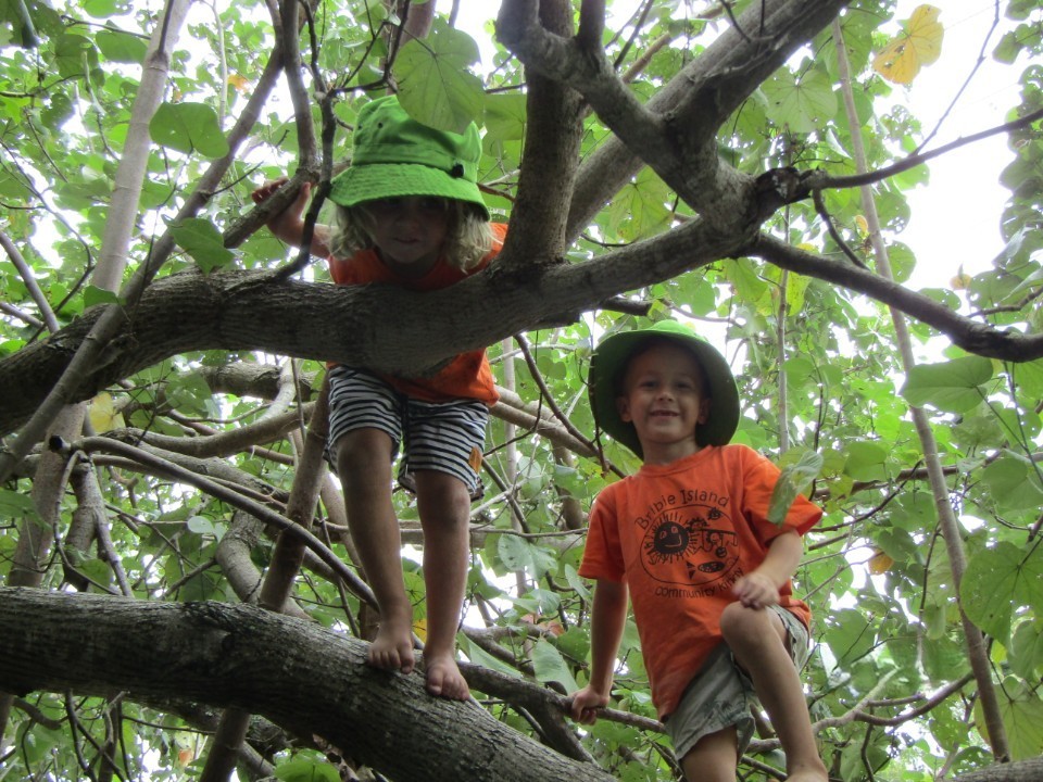 Bribie Island Kindy - 2 children climbing a tree