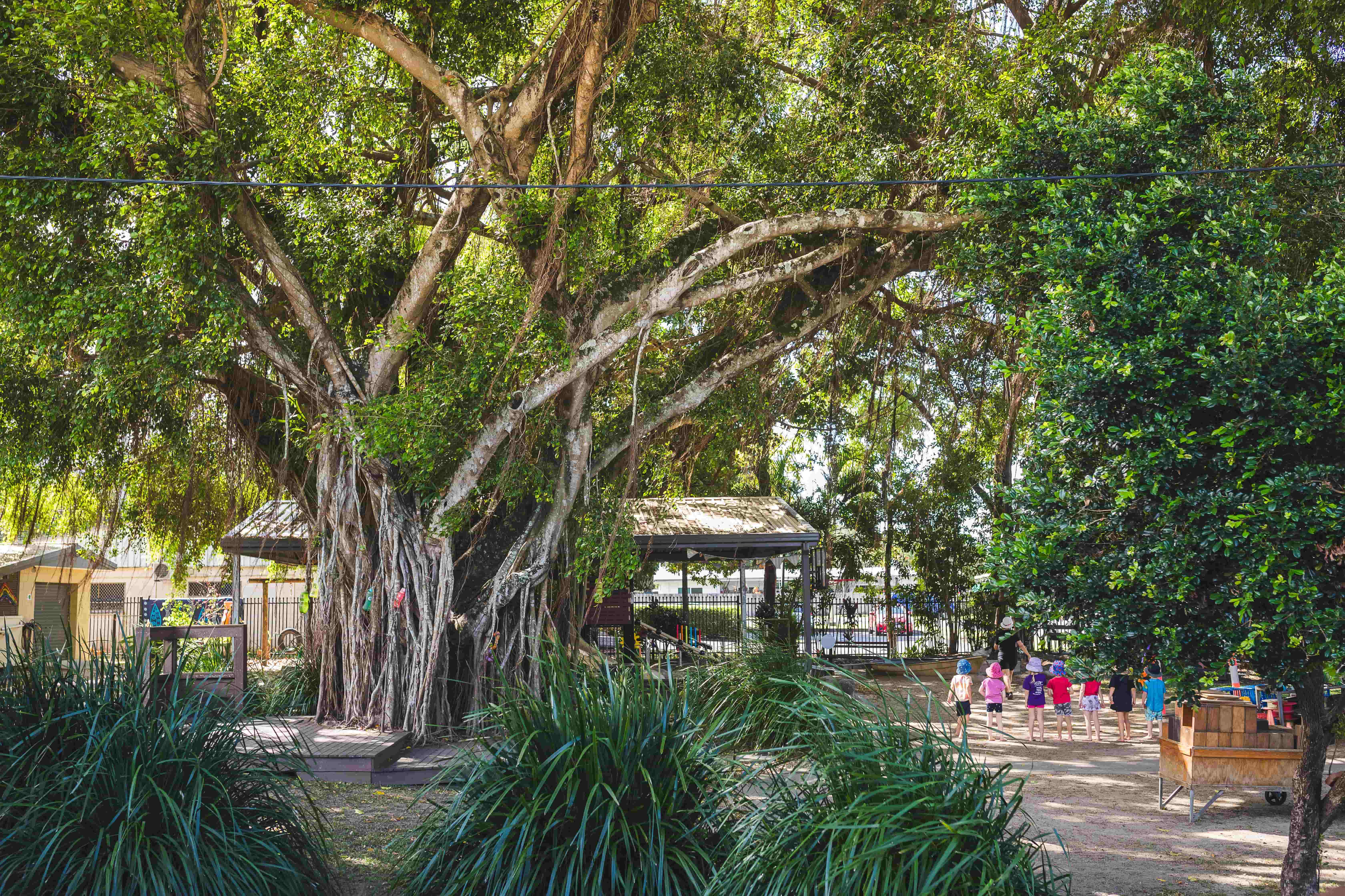 Bayview Community Kindergarten | About Us