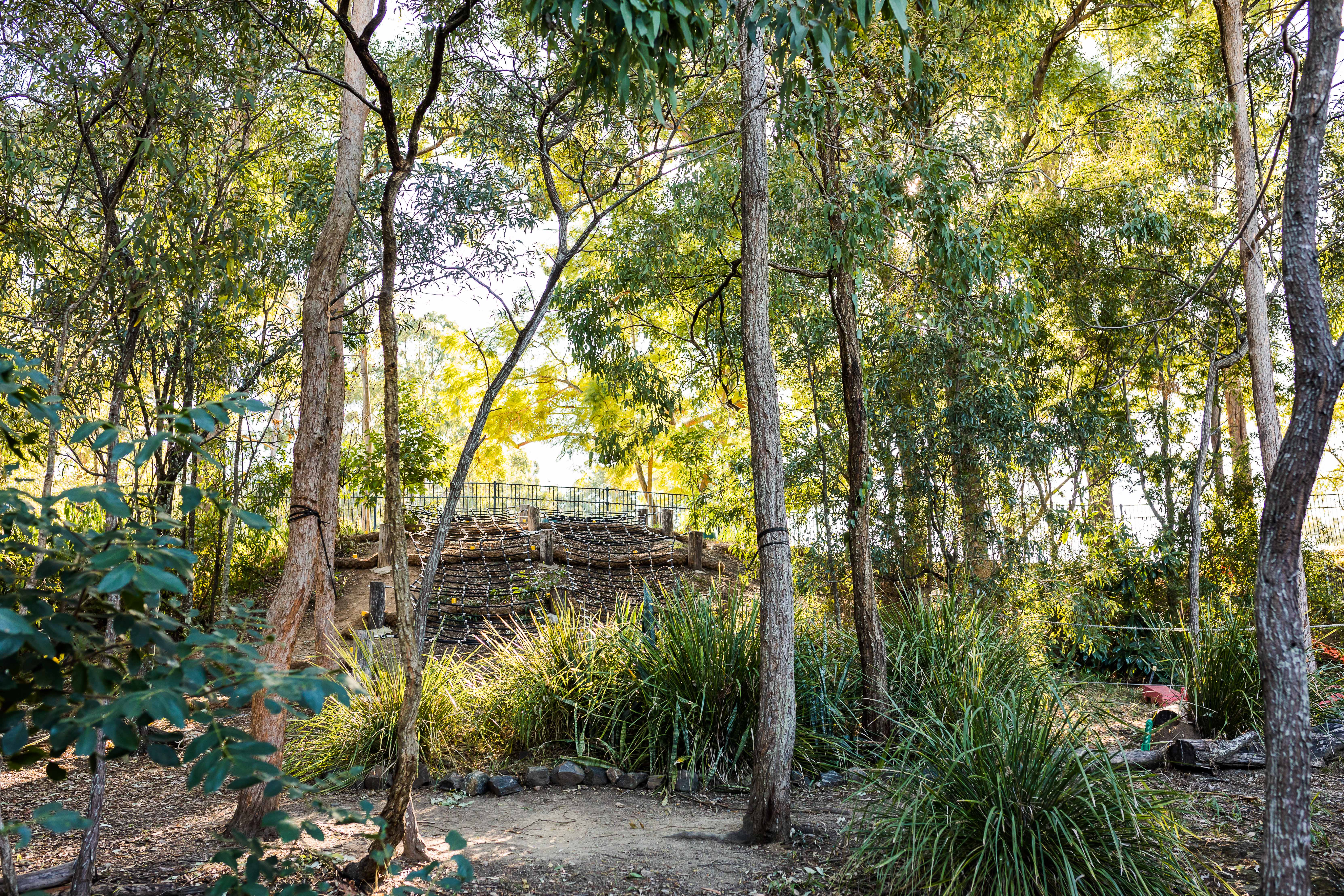 C&K Oakleigh - outdoor climbing area