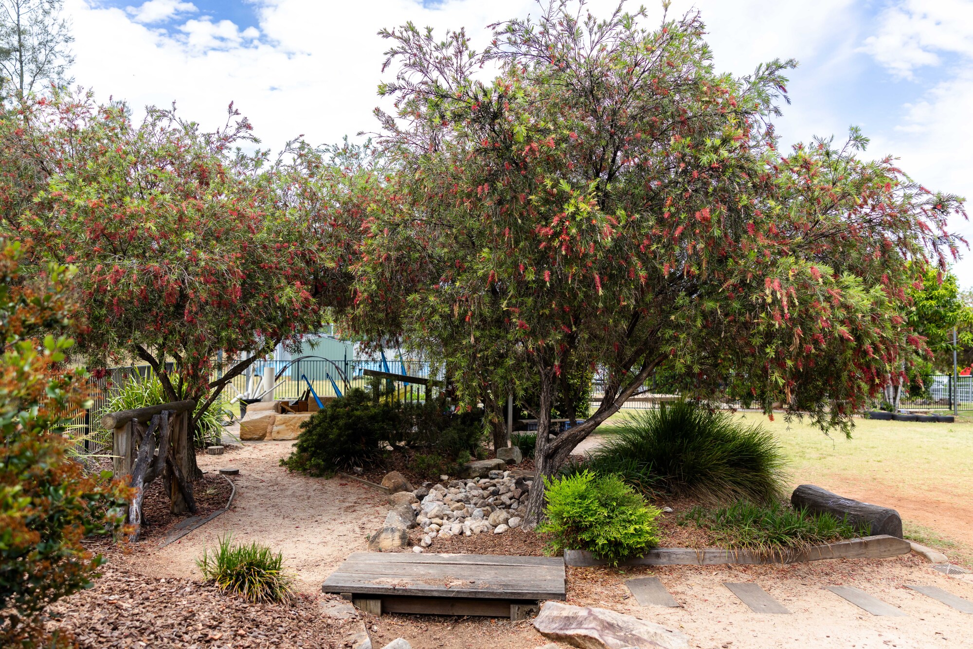 C&K Fairview Heights - outdoor space