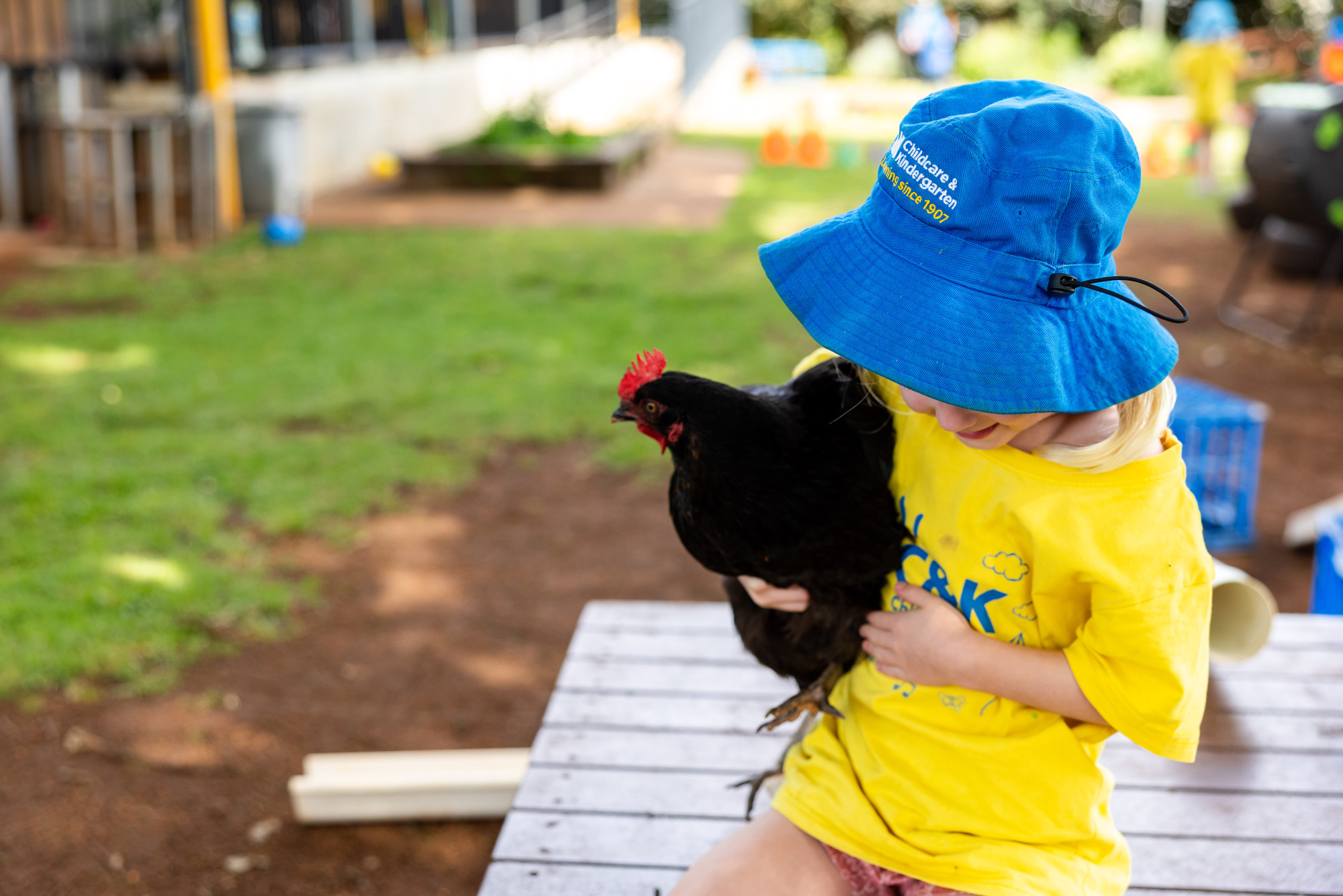 C&K Gabbinbar - child holding a chicken