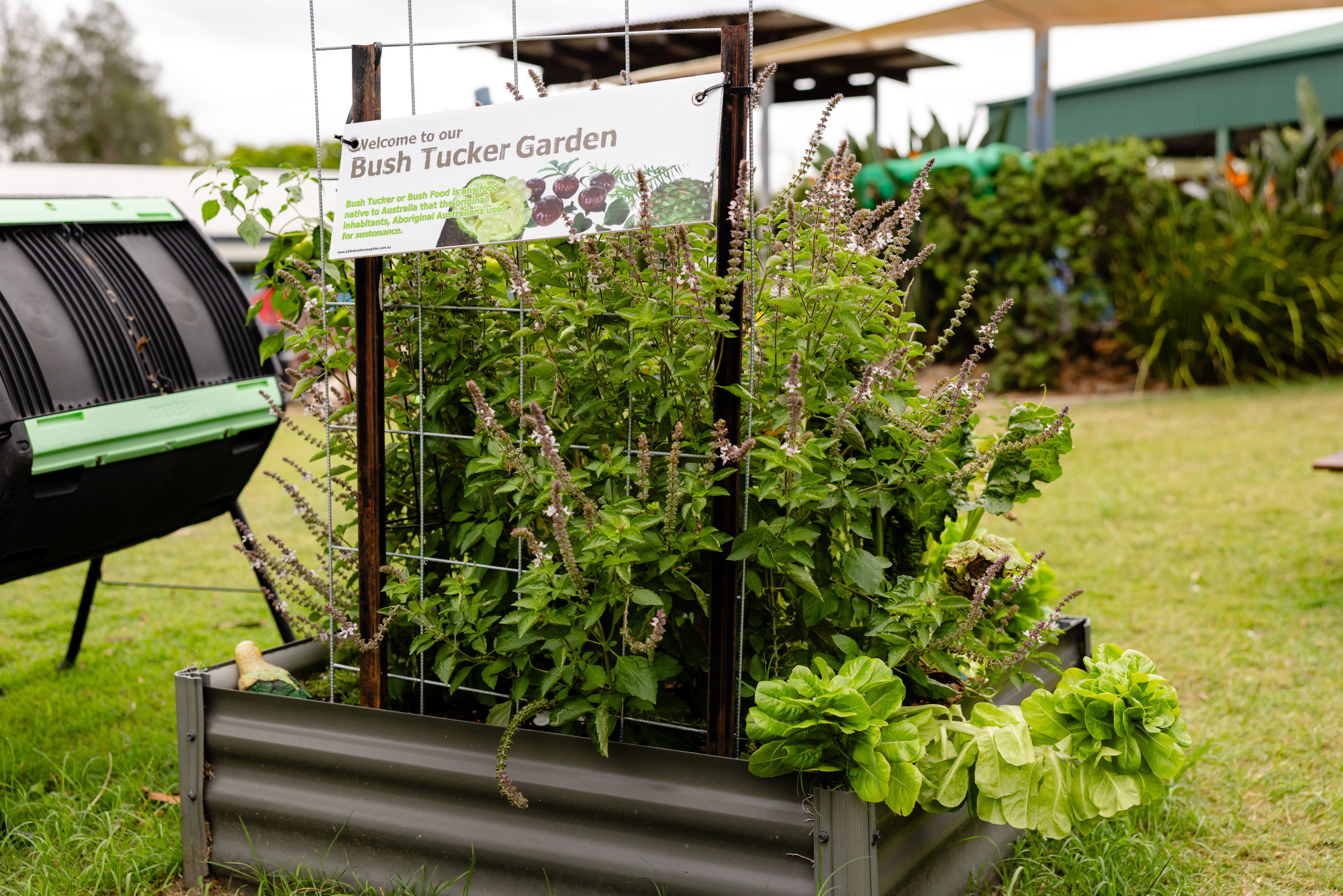 C&K Hatton Vale - bush tucker garden