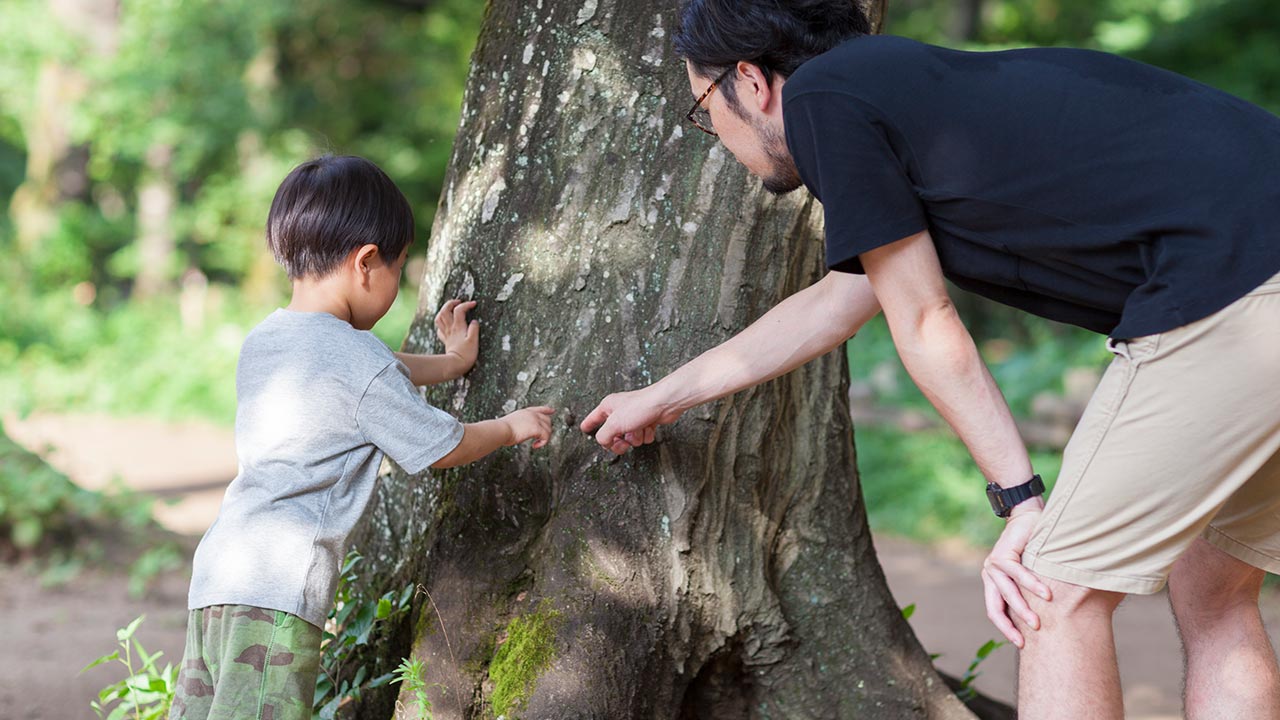 C&K Banksia Beach - bush kindy
