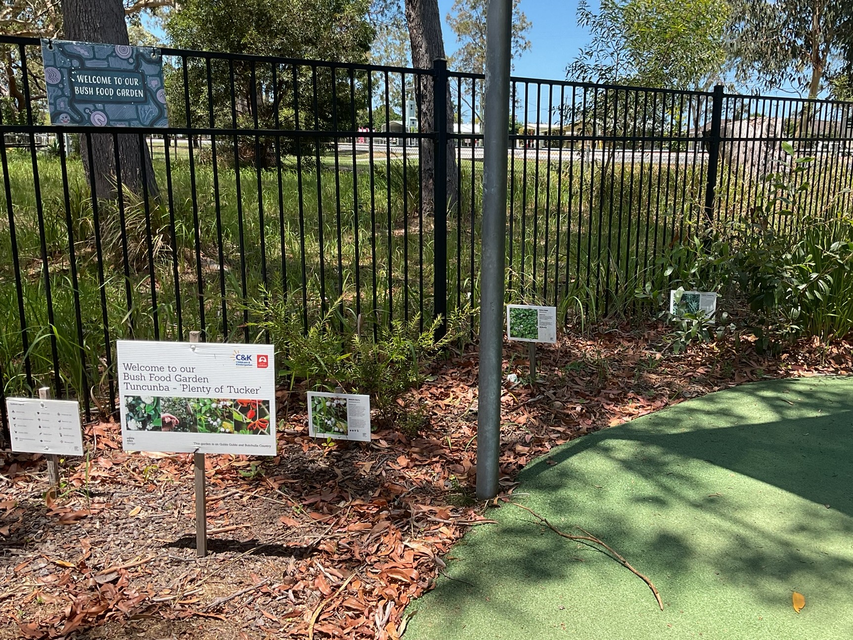 C&K Tin Can Bay - bush tucker garden