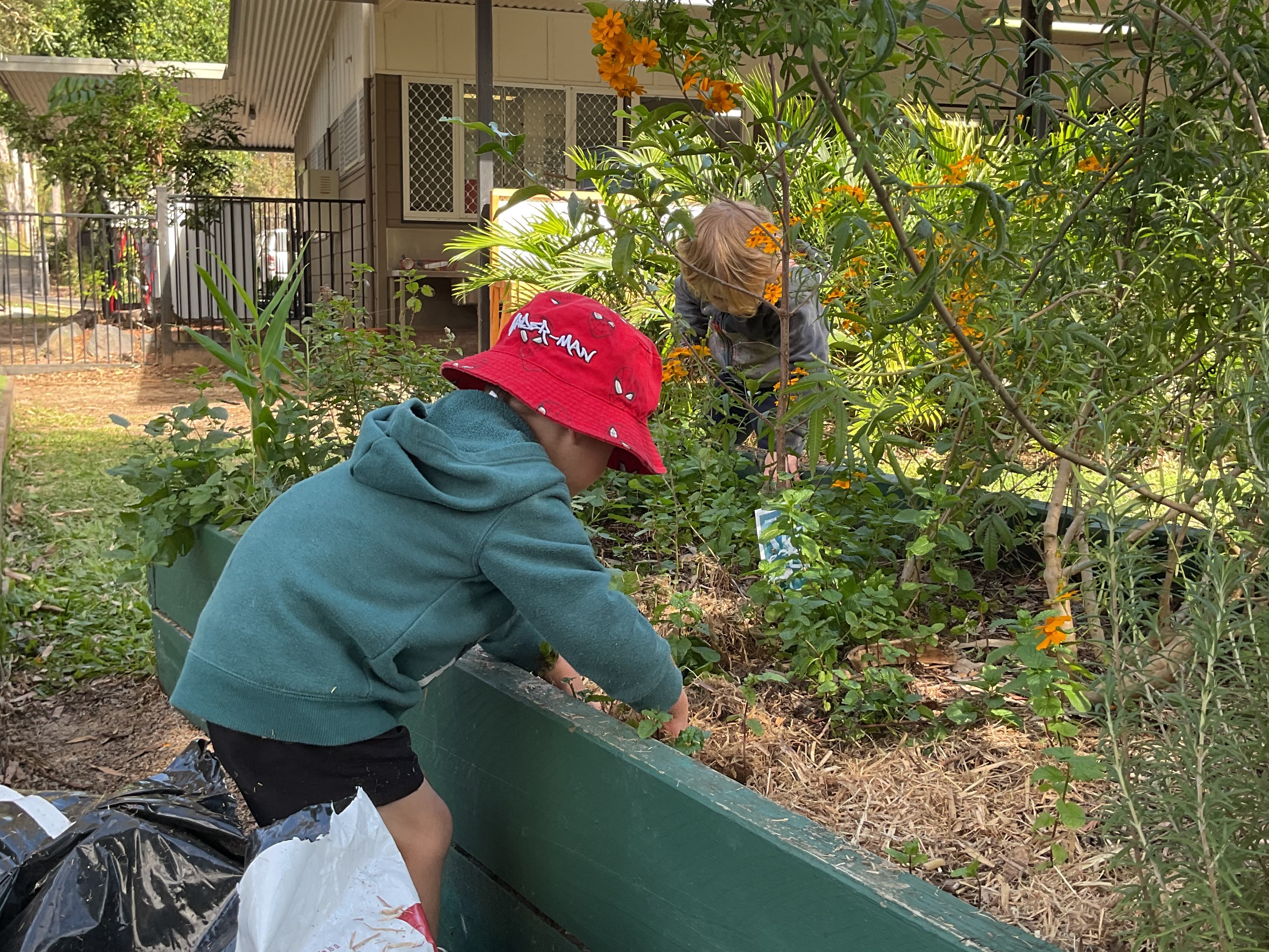 C&K Woodford - children gardening