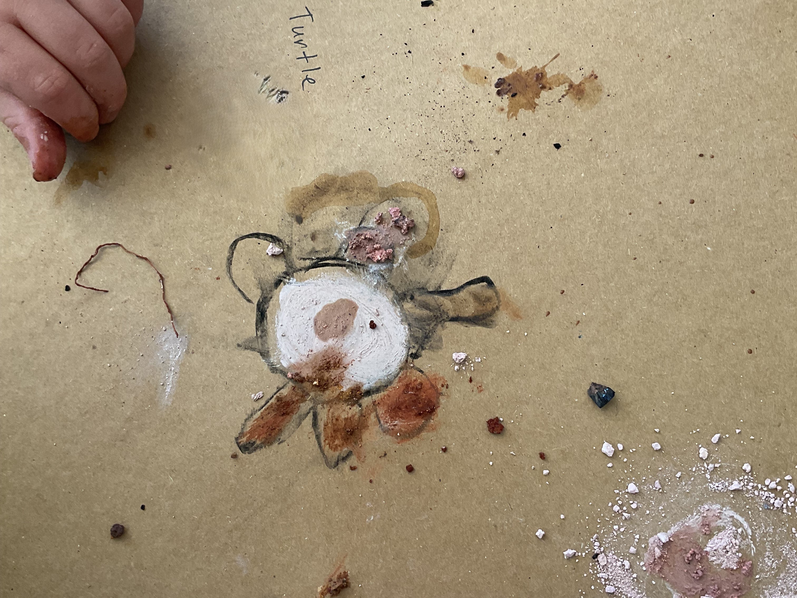 C&K Woodford - turtle artwork