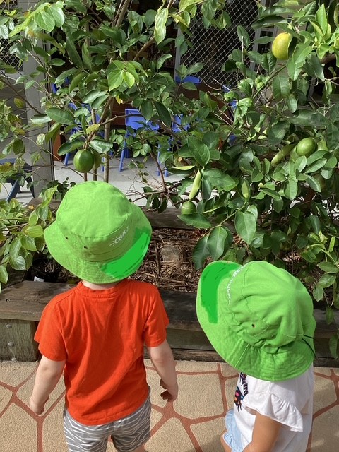 Two kindy friends discovering outside
