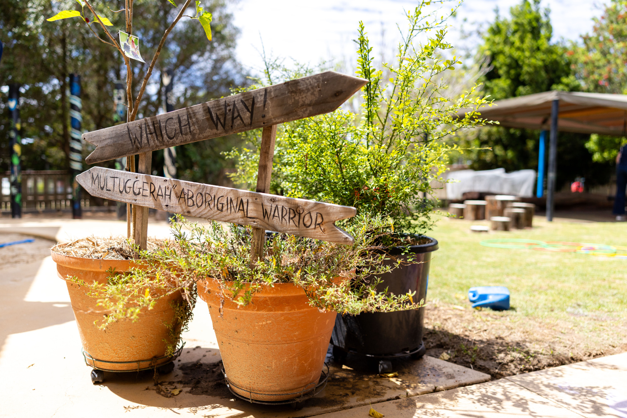 Kulila Indigenous Kindergarten - plants with First Nation signage