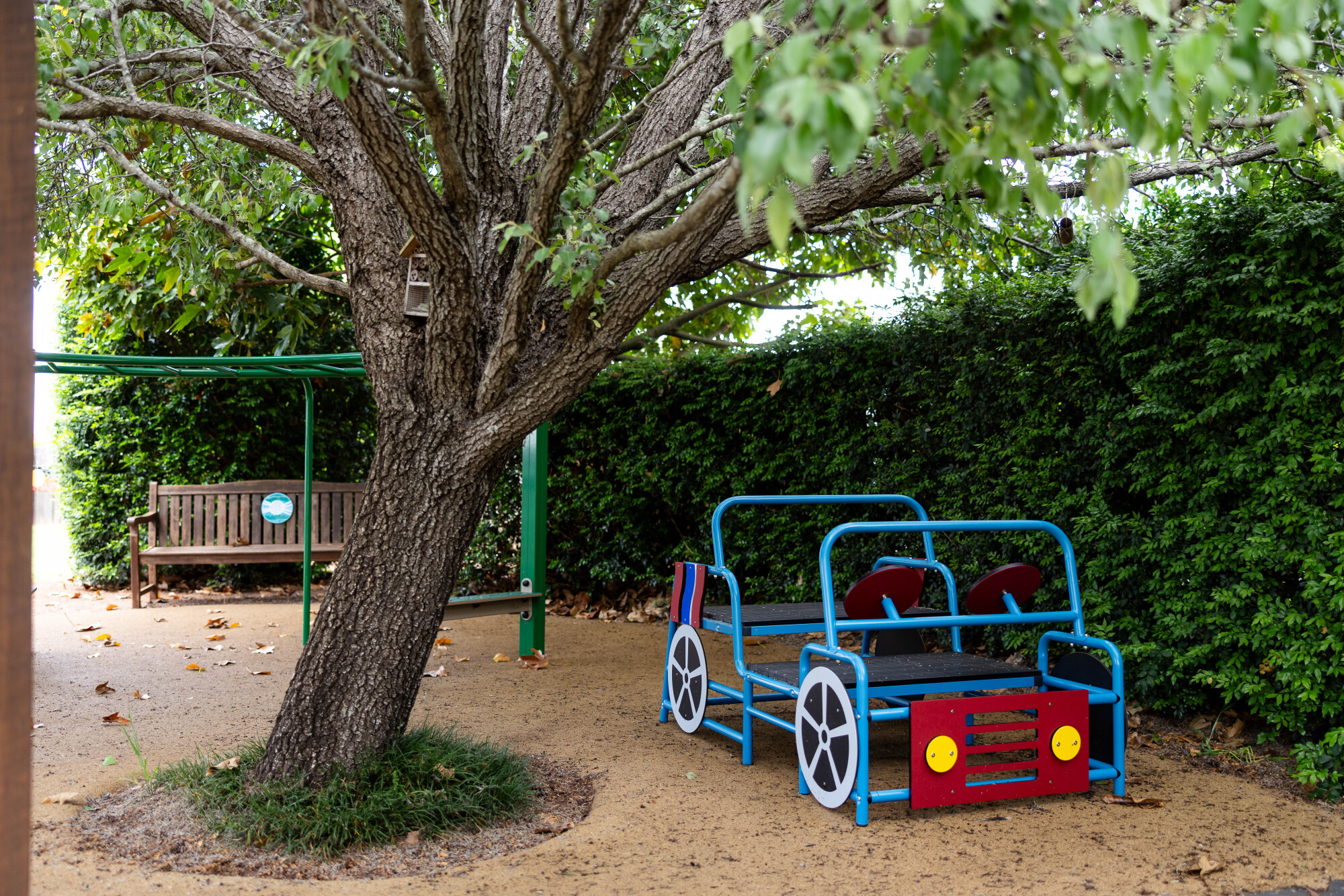 Little Miracles - outdoor monkey bars and car