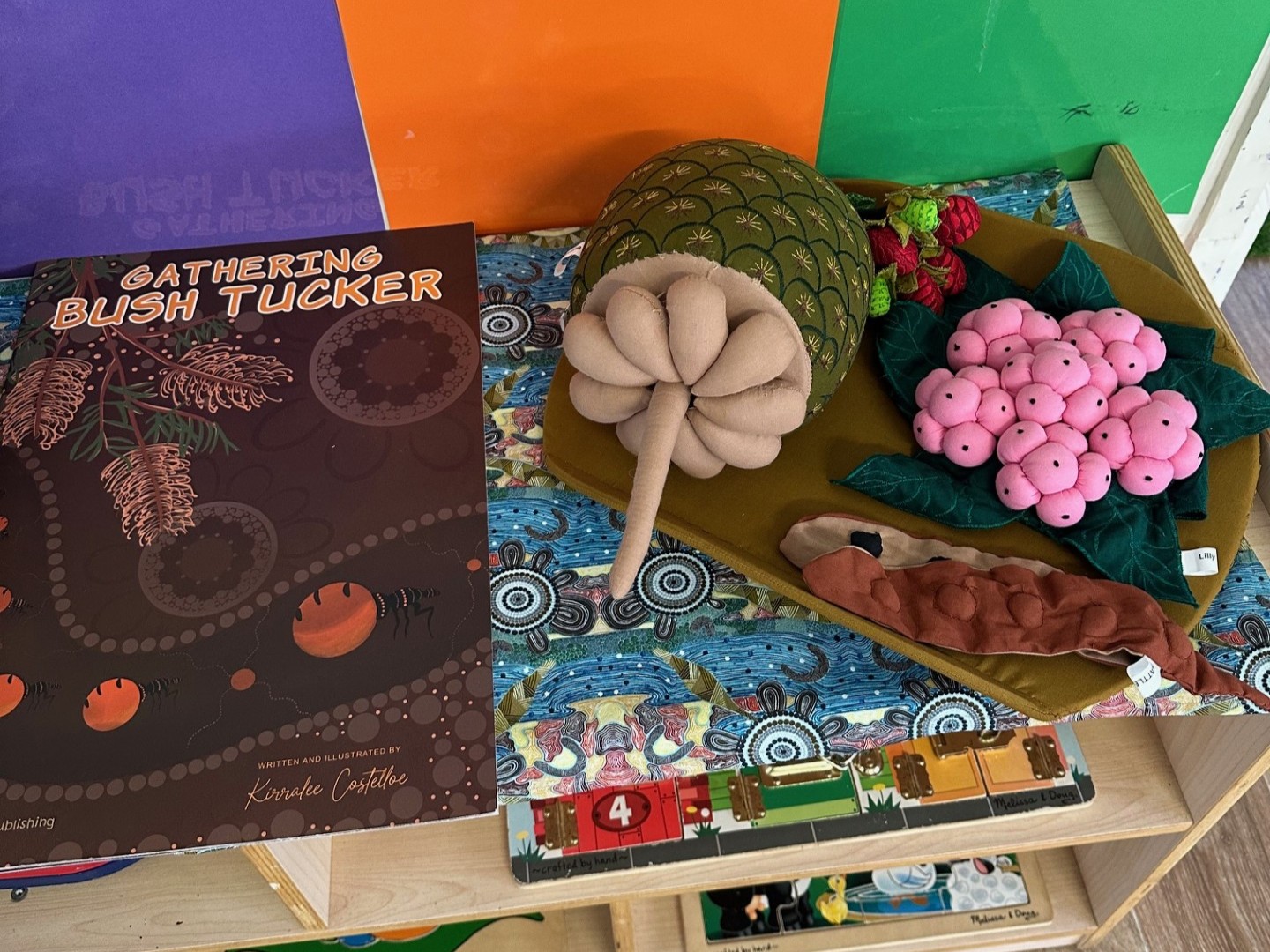 Maclagan Windermere Kindergarten - first nations resources