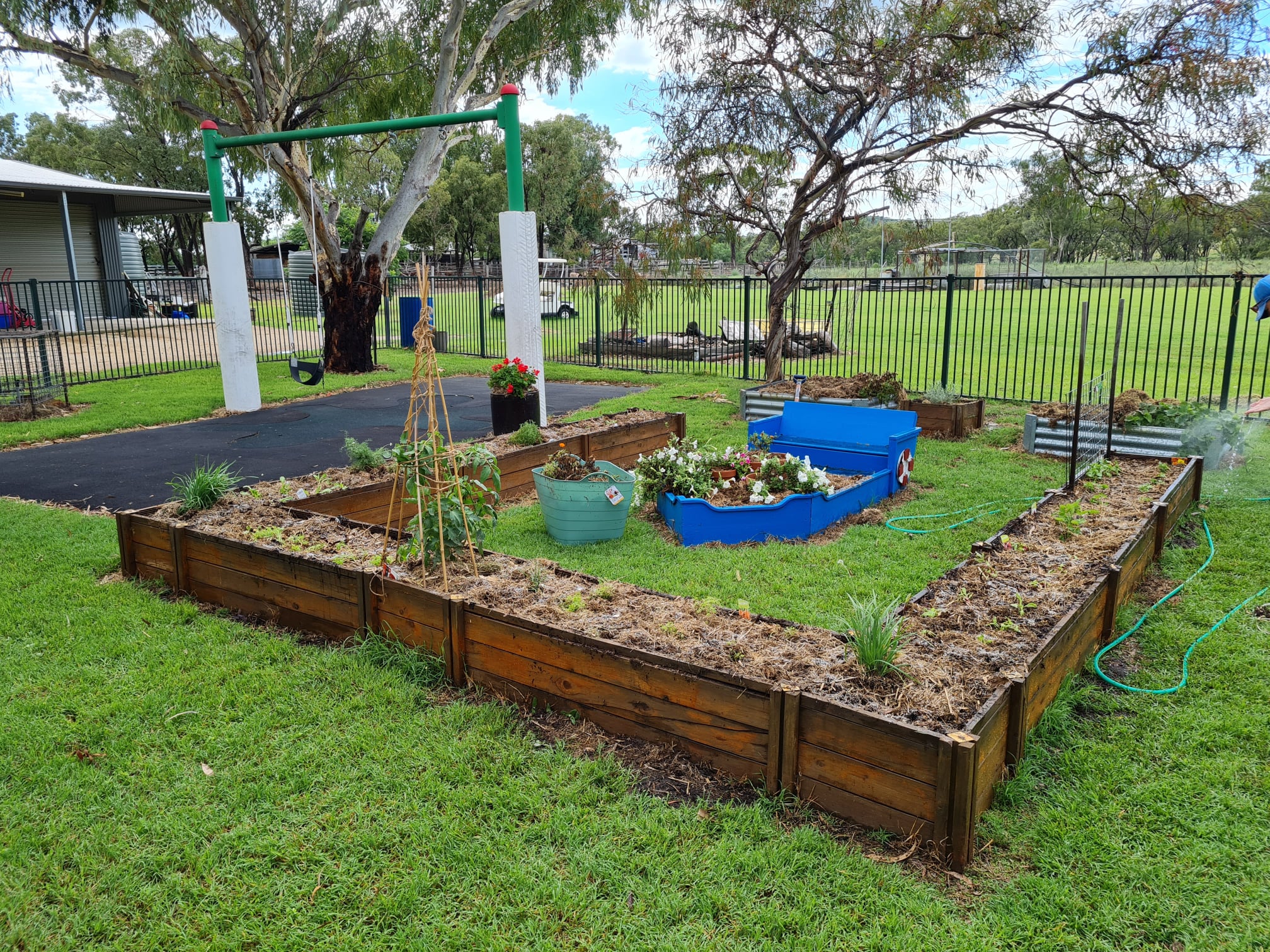 Maclagan Windermere Kindergarten - garden beds