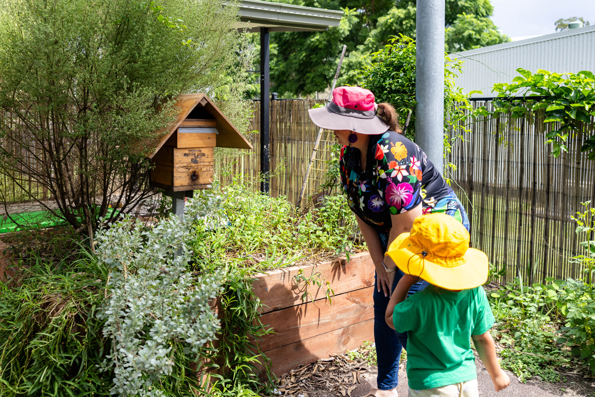 C&K Woodford - educator and child looking at the beehive