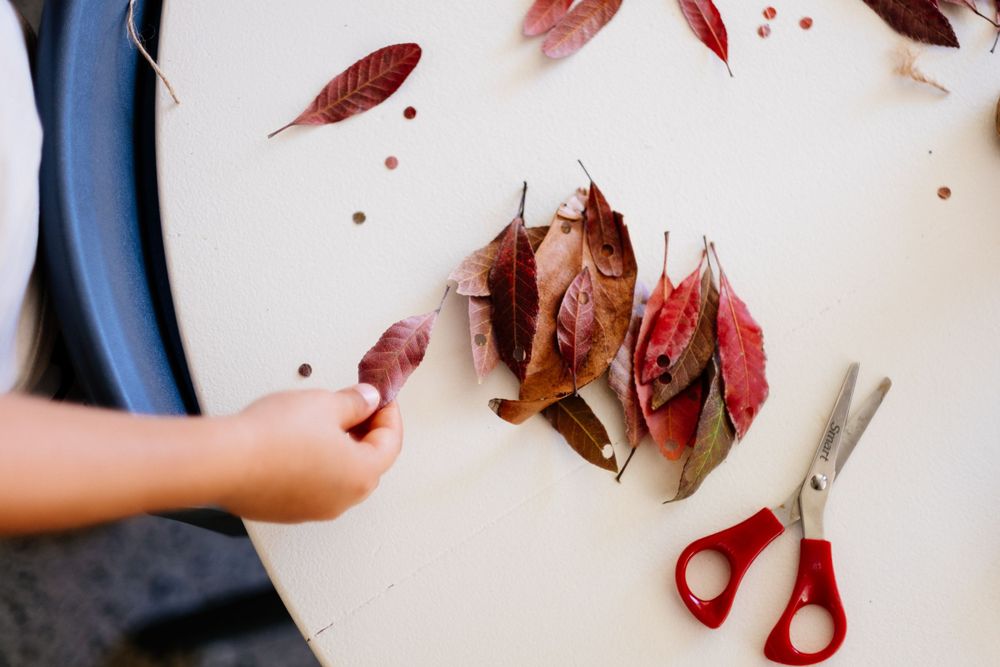 Florence Kindy - leaf confetti