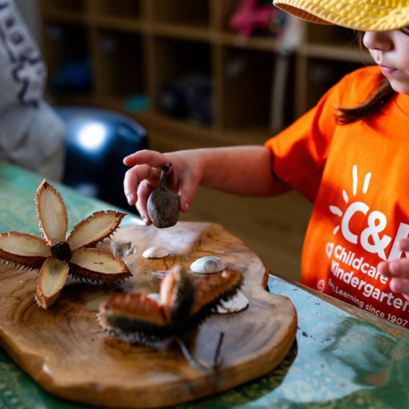 Kindy child playing with natural loose parts